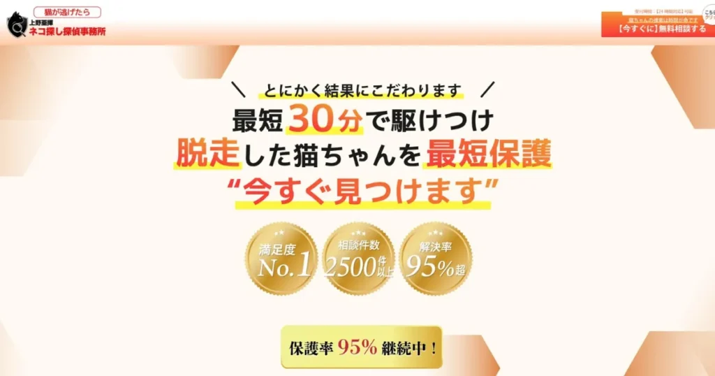 猫探偵 おすすめ 捜索