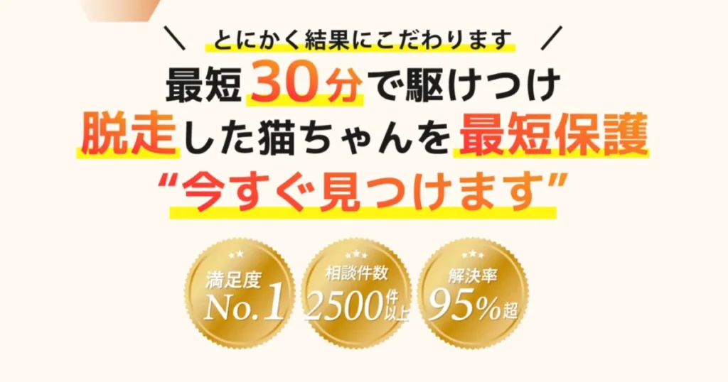 猫 帰ってこない