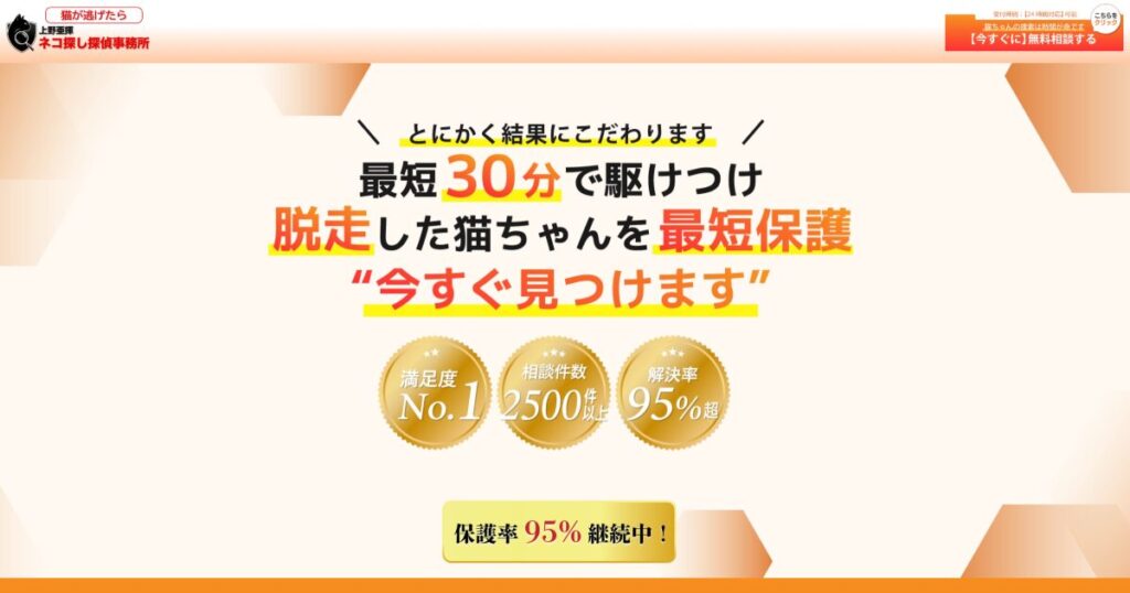 猫捜索　ポスター　作り方