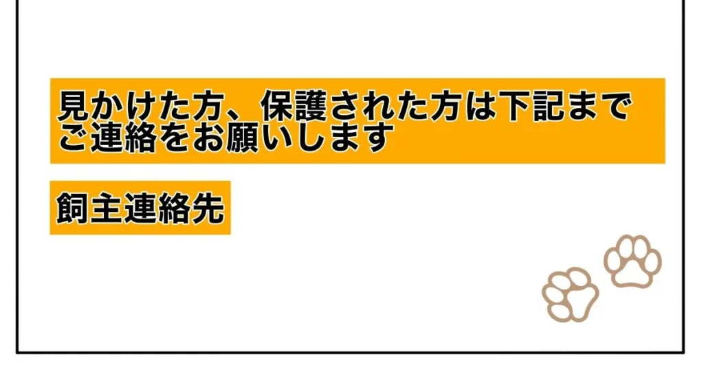 猫捜索　ポスター　作り方