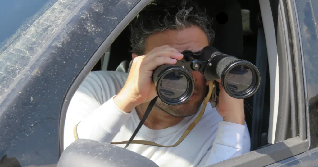 猫探偵　おすすめ　捜索