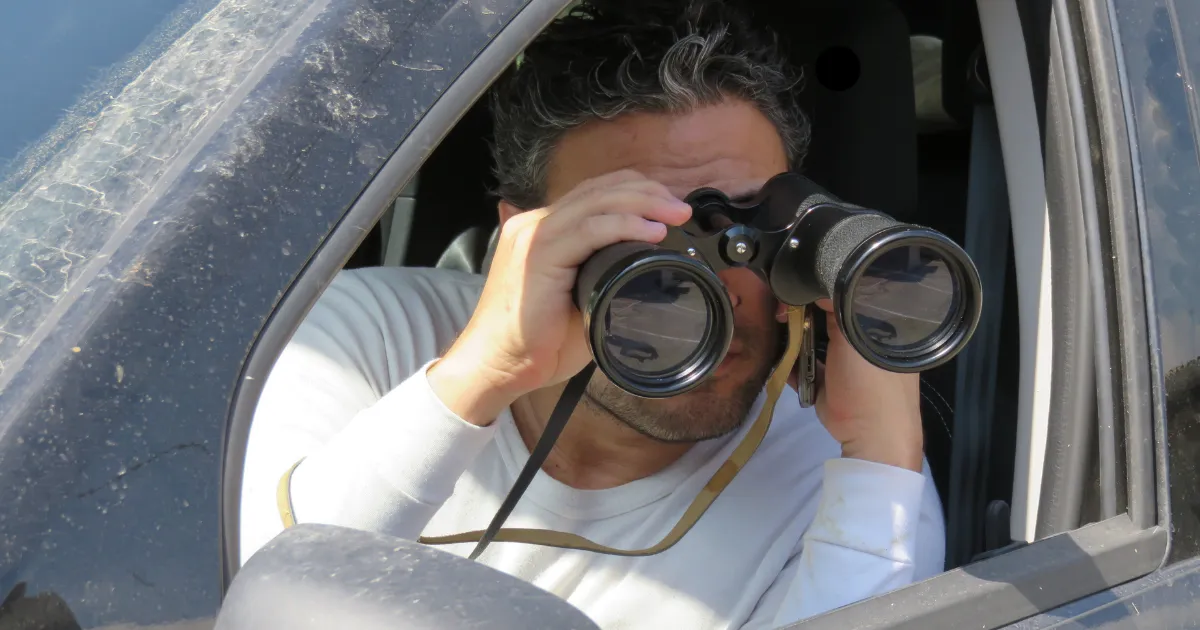 猫探偵 おすすめ 捜索