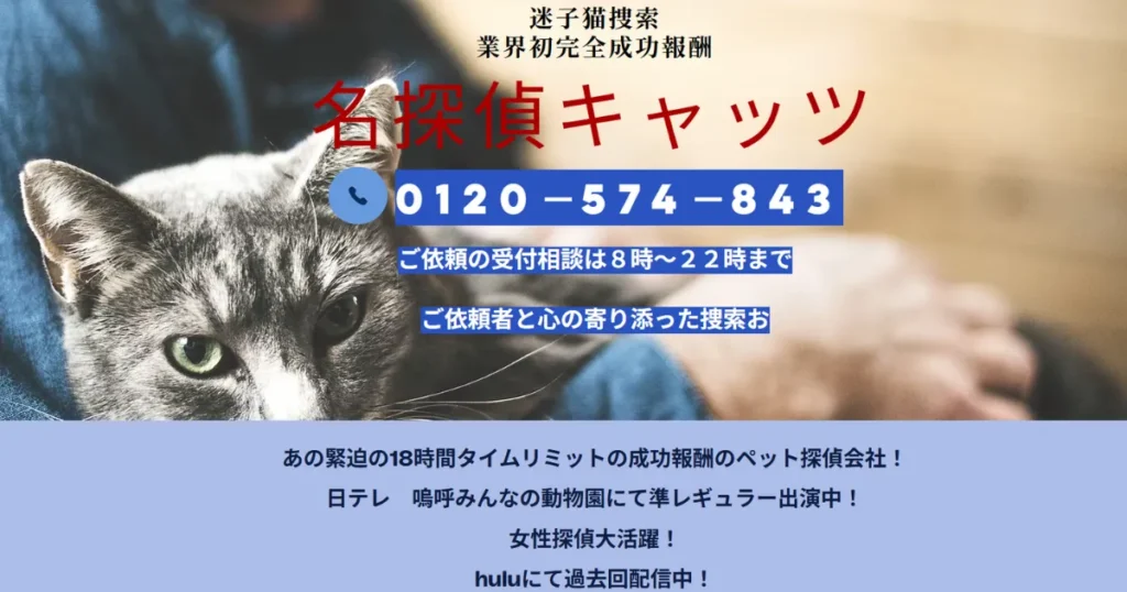 猫探偵 おすすめ 捜索