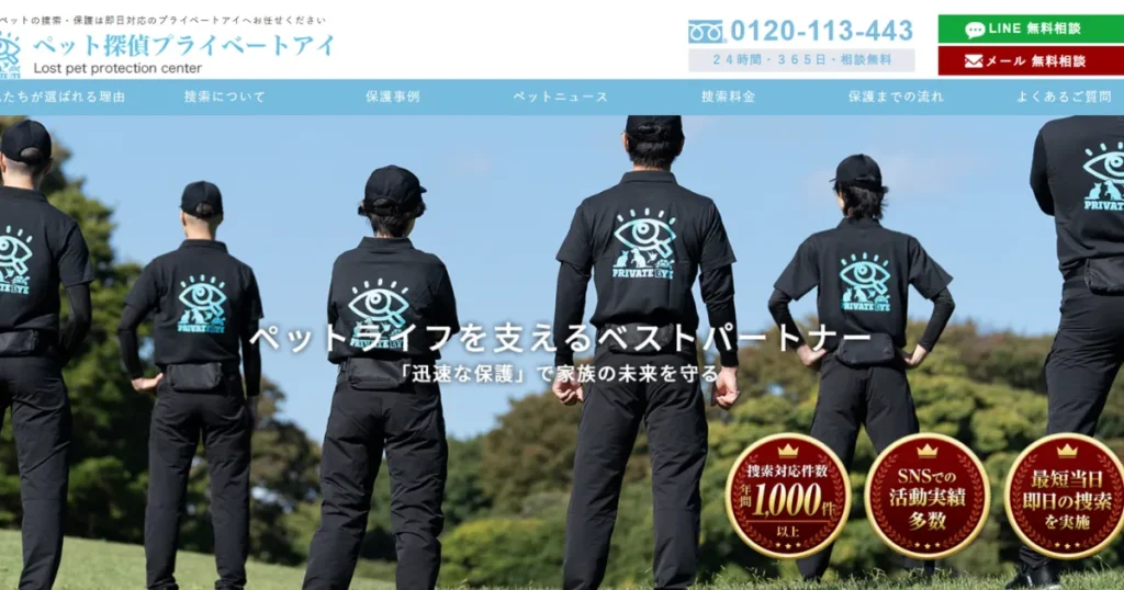 猫探偵 おすすめ 捜索