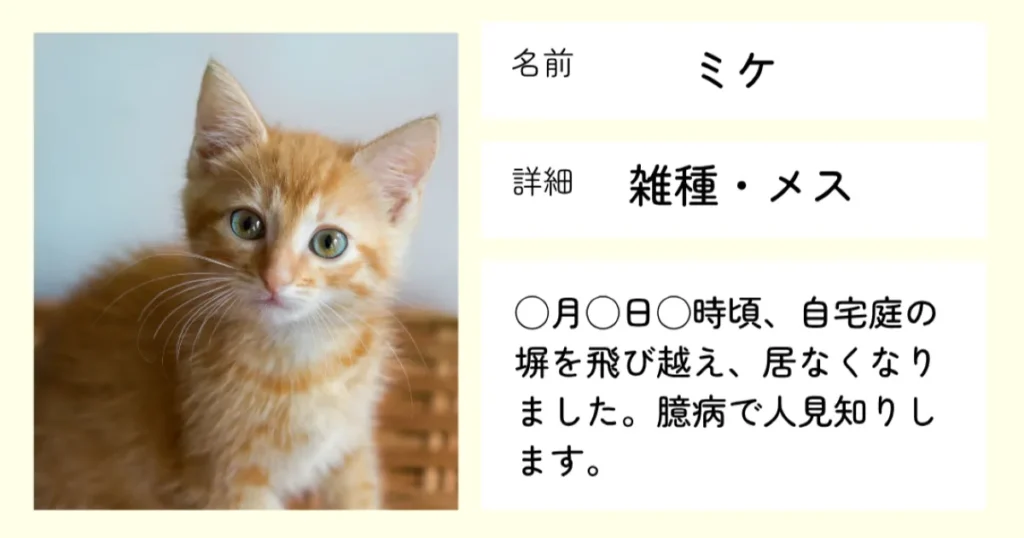 猫捜索　ポスター　作り方