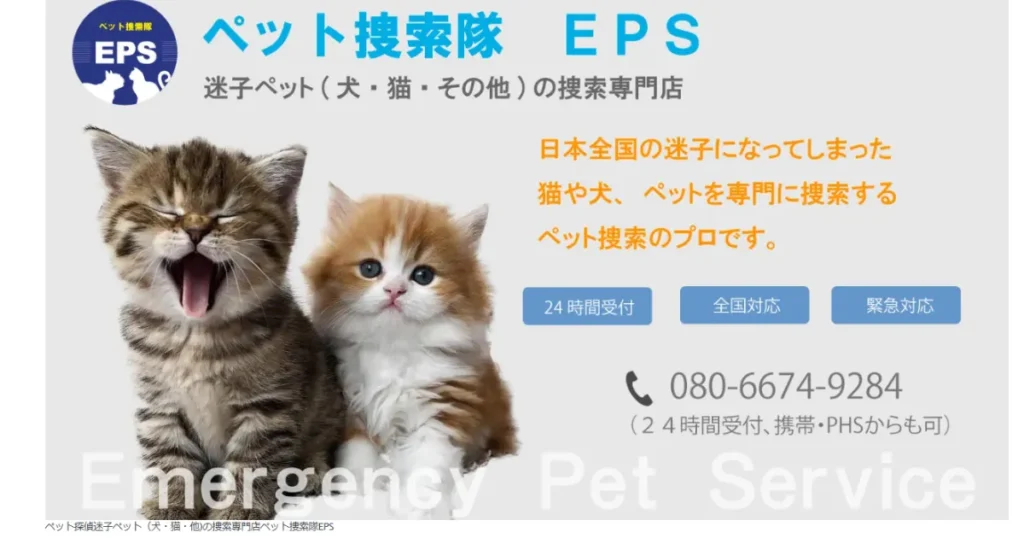 猫探偵 おすすめ 捜索