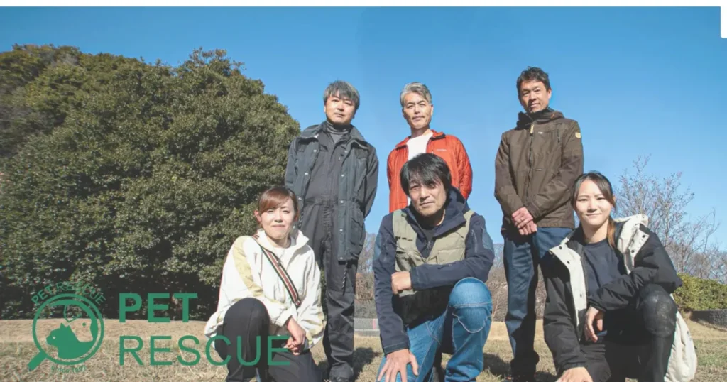 猫探偵 おすすめ 捜索