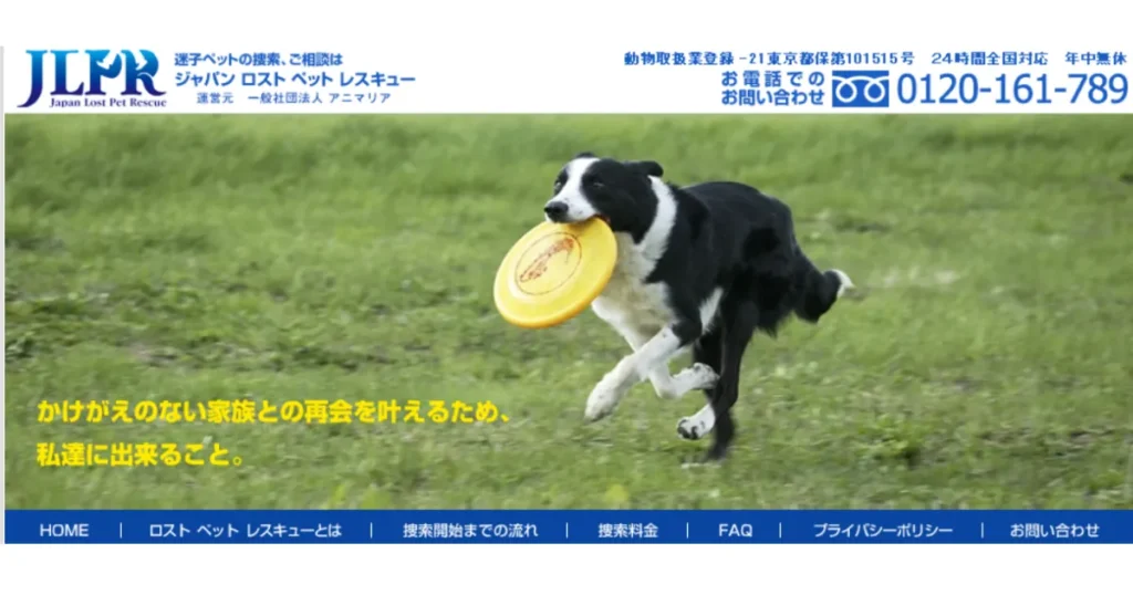 猫探偵 おすすめ 捜索