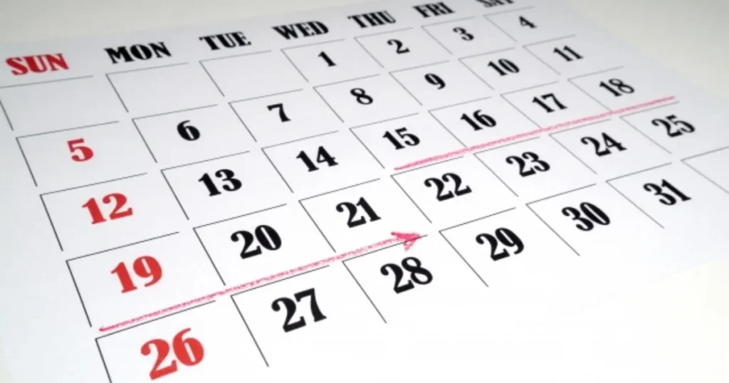 猫 帰ってこない