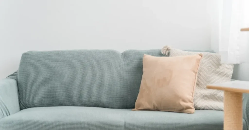 猫 帰ってこない